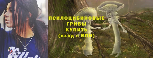 a pvp Беломорск