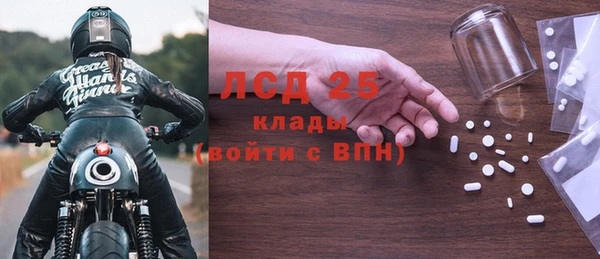 прущие грибы Белоозёрский