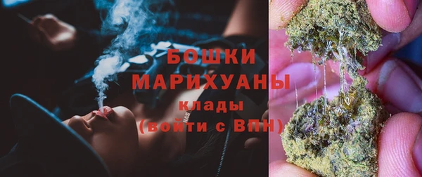 прущие грибы Белоозёрский